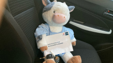 Suzuki Swift 1.0 Boosterjet SZ-T 5dr Petrol Hatchback